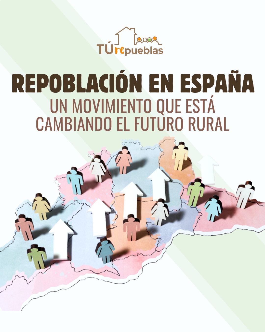 Lee más sobre el artículo 🌾 Repoblacion en España: Un Movimiento que Esta Cambiando el Futuro Rural